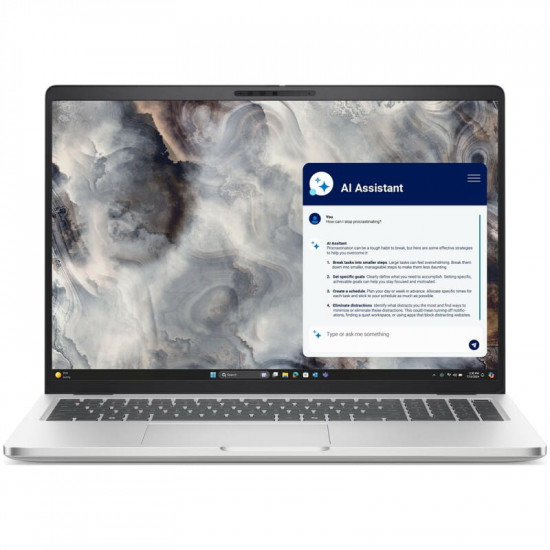 Ноутбук Dell Pro 16 Plus (BTO104PB16250UA_W11P) Silver