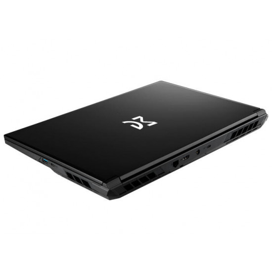 Ноутбук Dream Machines RG5050-17 (RG5050-17UA25) Black
