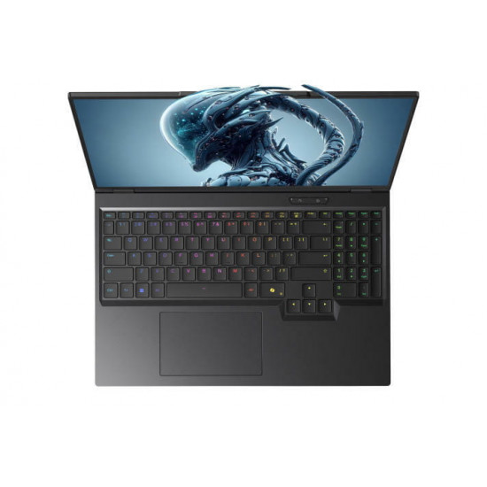 Ноутбук Dream Machines RX5090-16 (RX5090-16UA26) Black