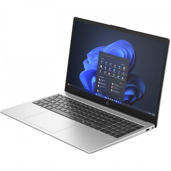 Ноутбук HP 250R G10 (CN5Y0AT) Silver