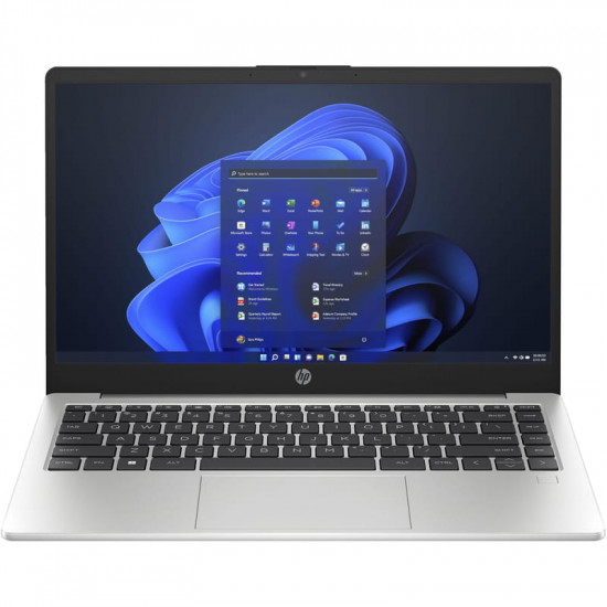 Ноутбук HP 245 G10 (A3DU5ES) Silver