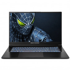 Ноутбук Dream Machines RG5050-17 (RG5050-17UA24) Black