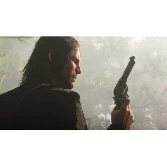 Гра Red Dead Redemption 2 для Sony PlayStation 4, Russian Subtitles, Blu-ray (5026555423052)
