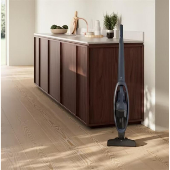 Акумуляторний пилосос Electrolux ES31CB18GG