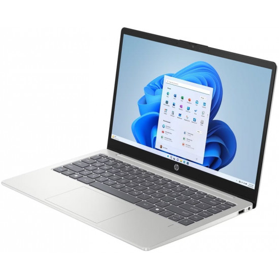 Ноутбук HP 240R G10 (CJ2Q4AT) Silver
