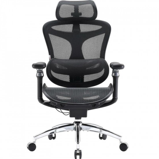 Крісло офісне Sihoo Doro C300 Pro Mesh Black (DORO-C300-PRO-M101)