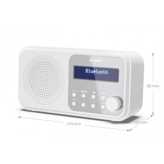 Радіоприймач Sharp DR-P420 Snowy White (DR-P420(WH))